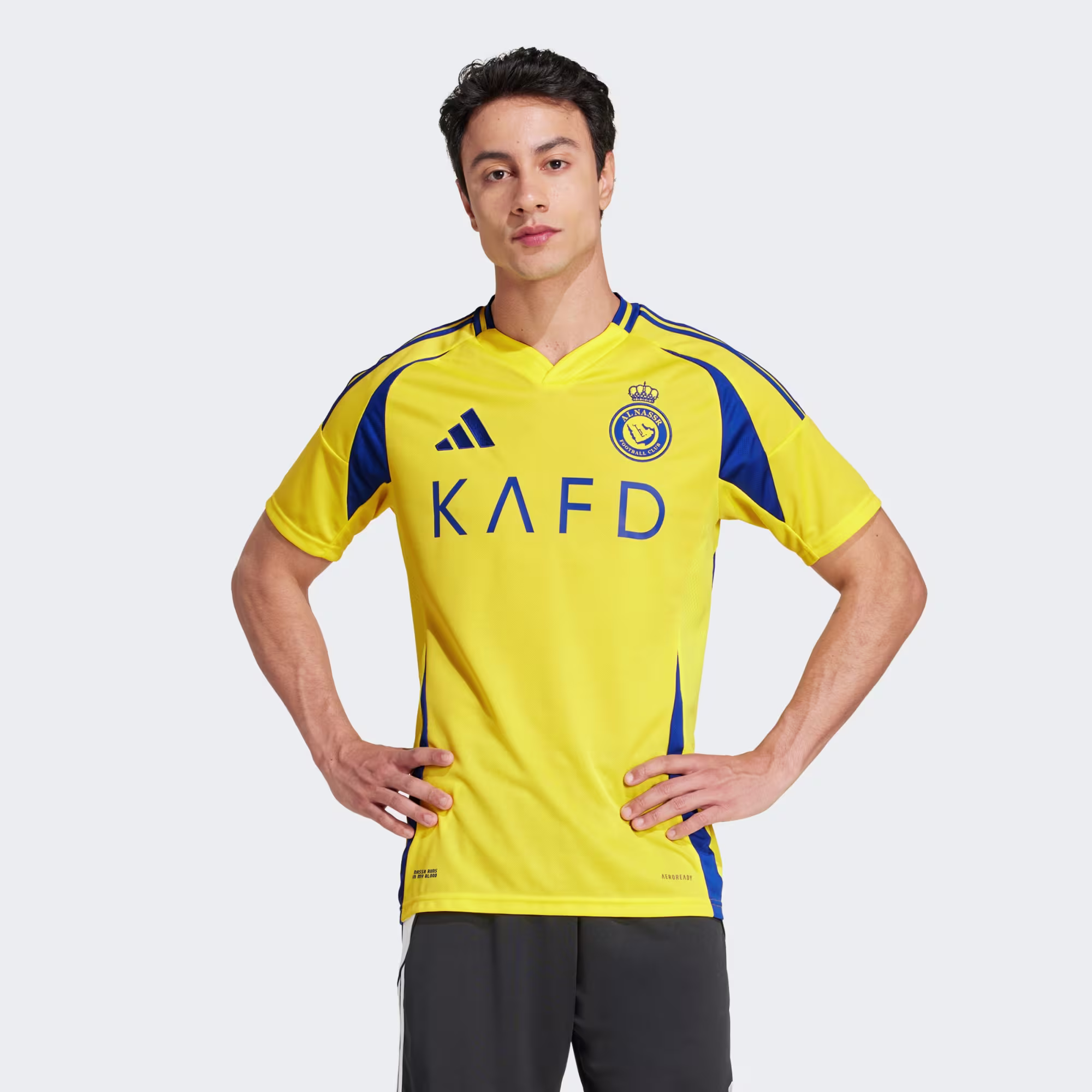 Al Nassr - Image 4