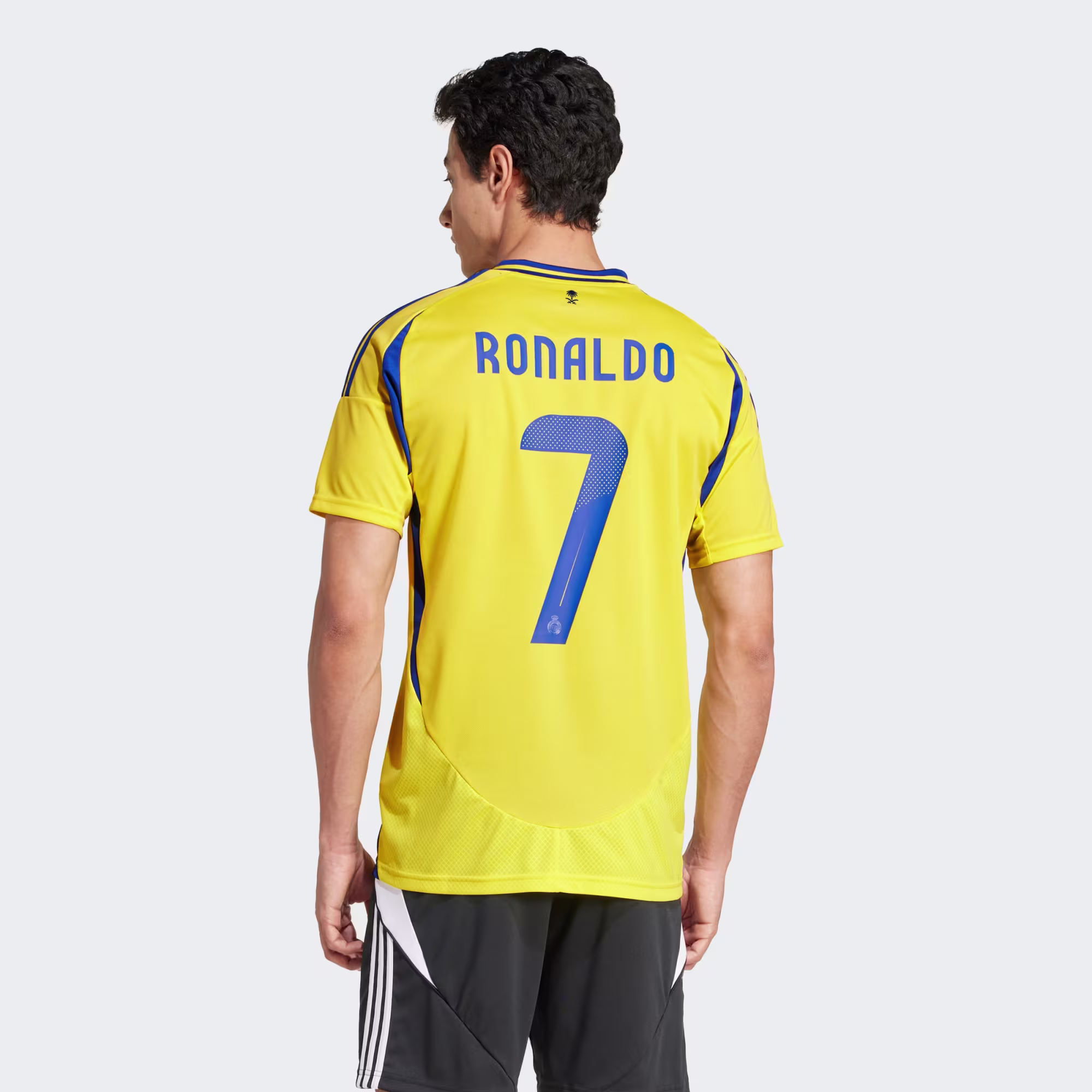Al Nassr - Image 2